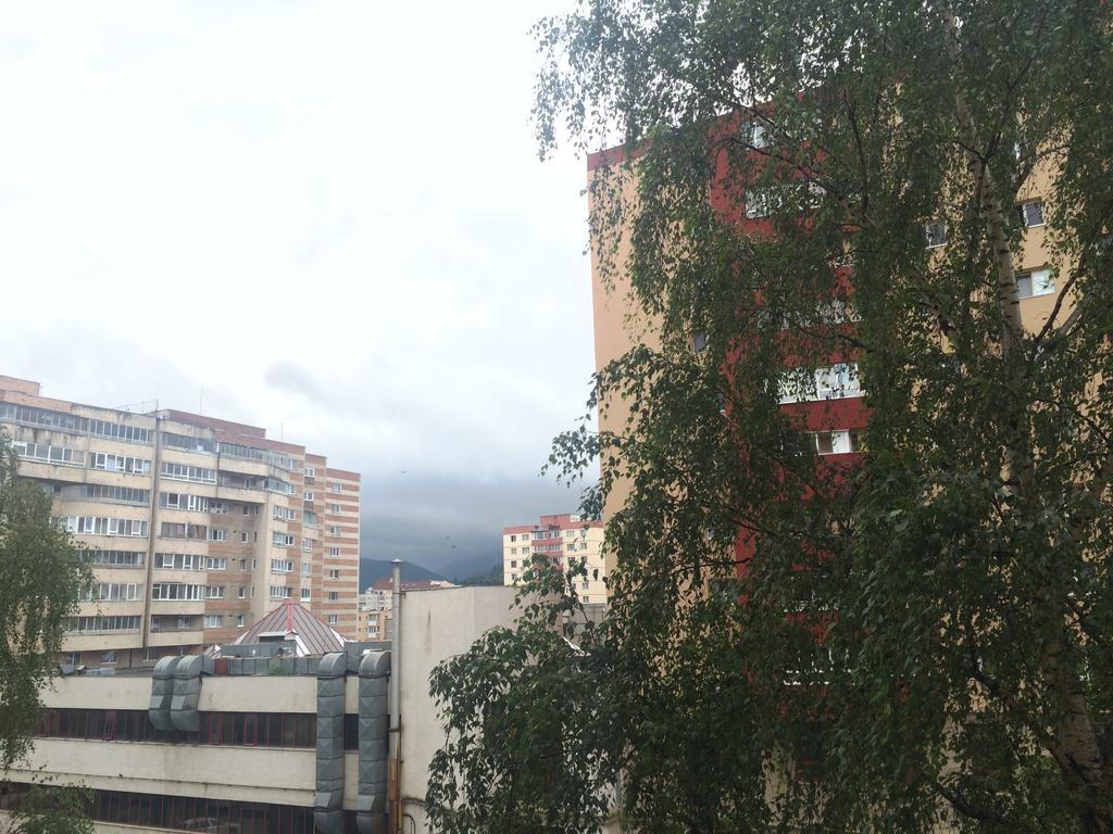 Apartment Krondays Braşov Exterior foto
